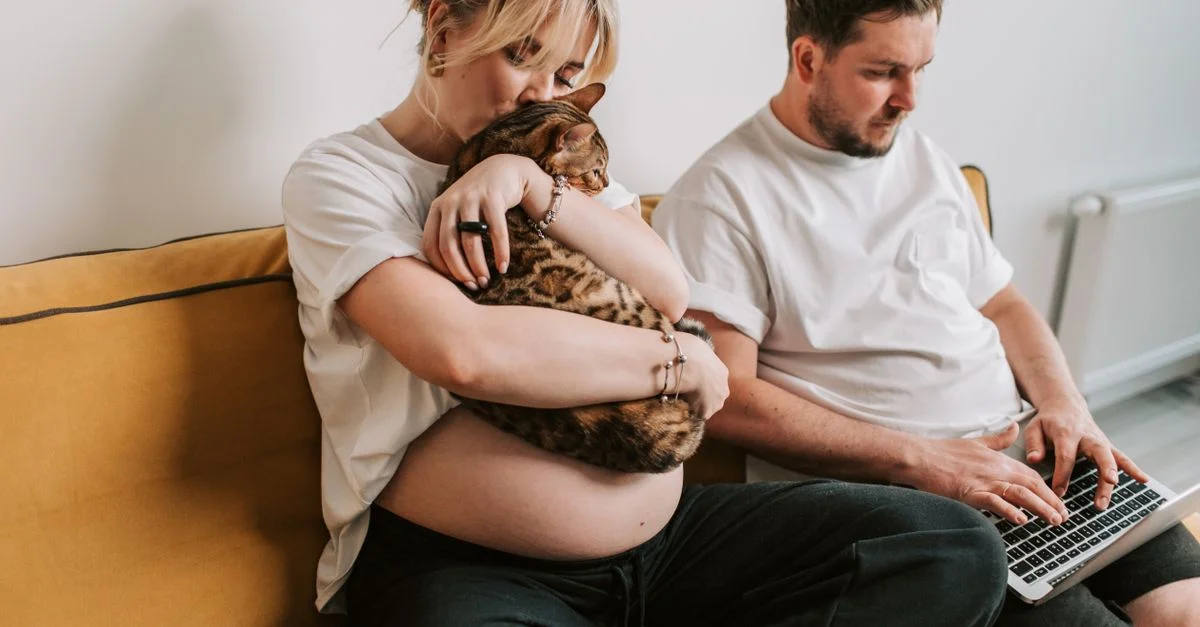 Scène chaleureuse d'une femme enceinte avec un chat, pendant que son partenaire travaille sur un ordinateur portable sur le canapé.