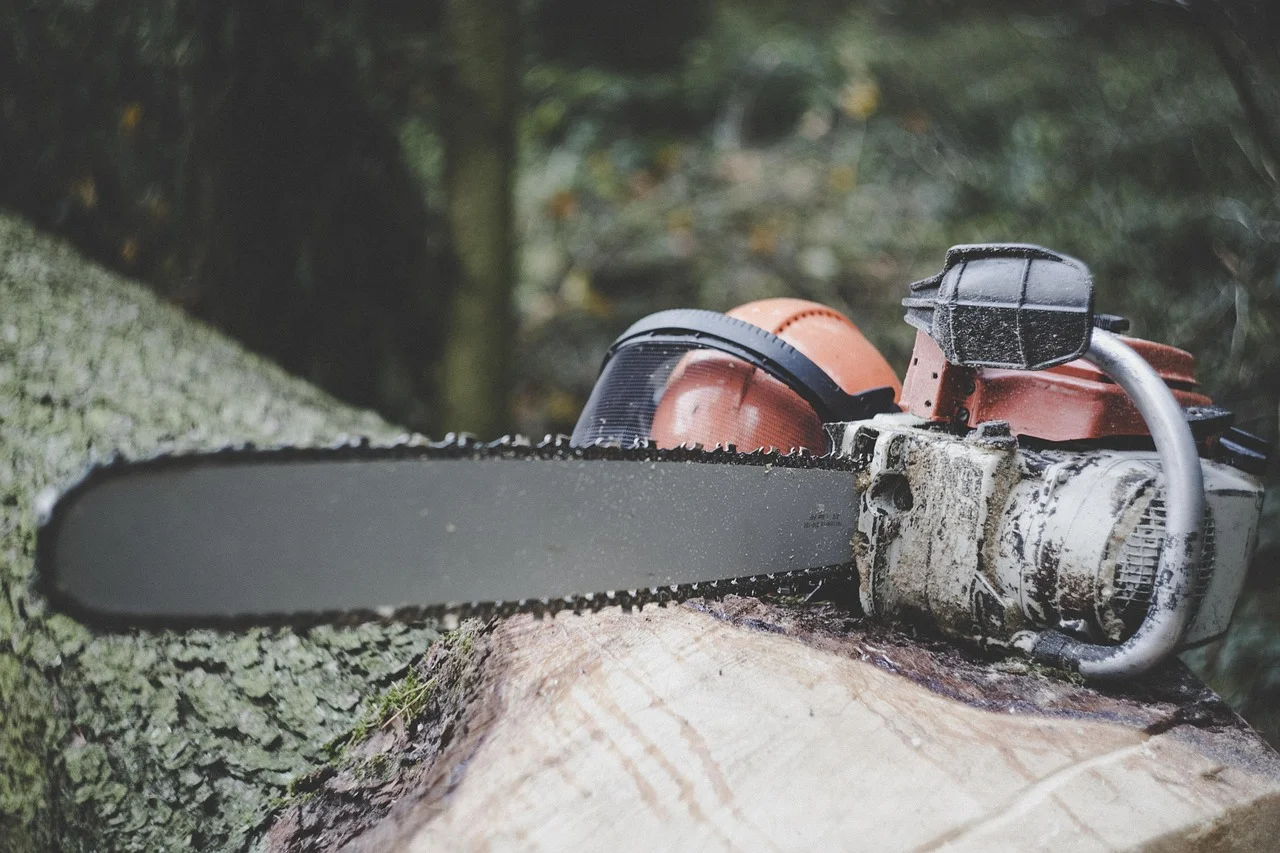 Quels sont les avantages de faire appel à un service professionnel d'abattage d'arbres ?