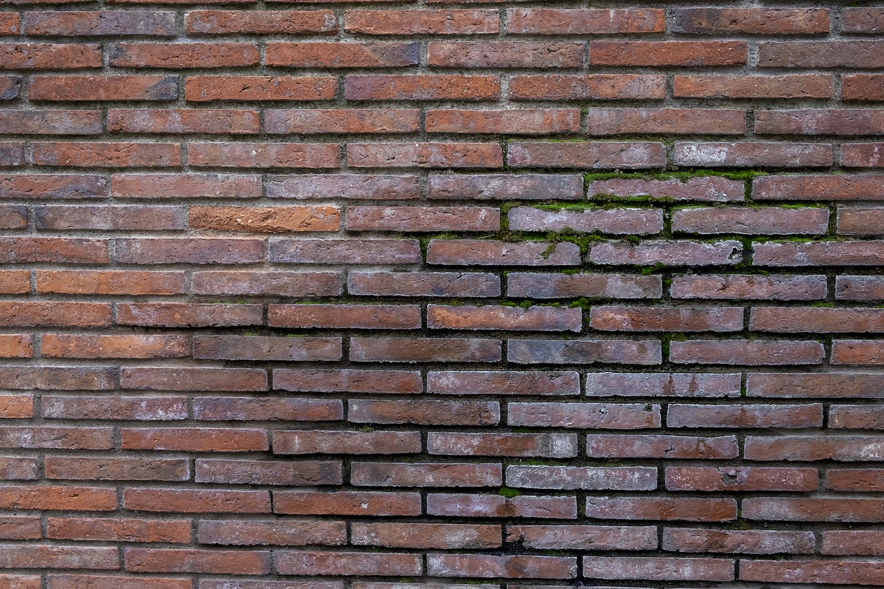 Comment sécher des murs humides après un dégt des eaux Guide de bricolage